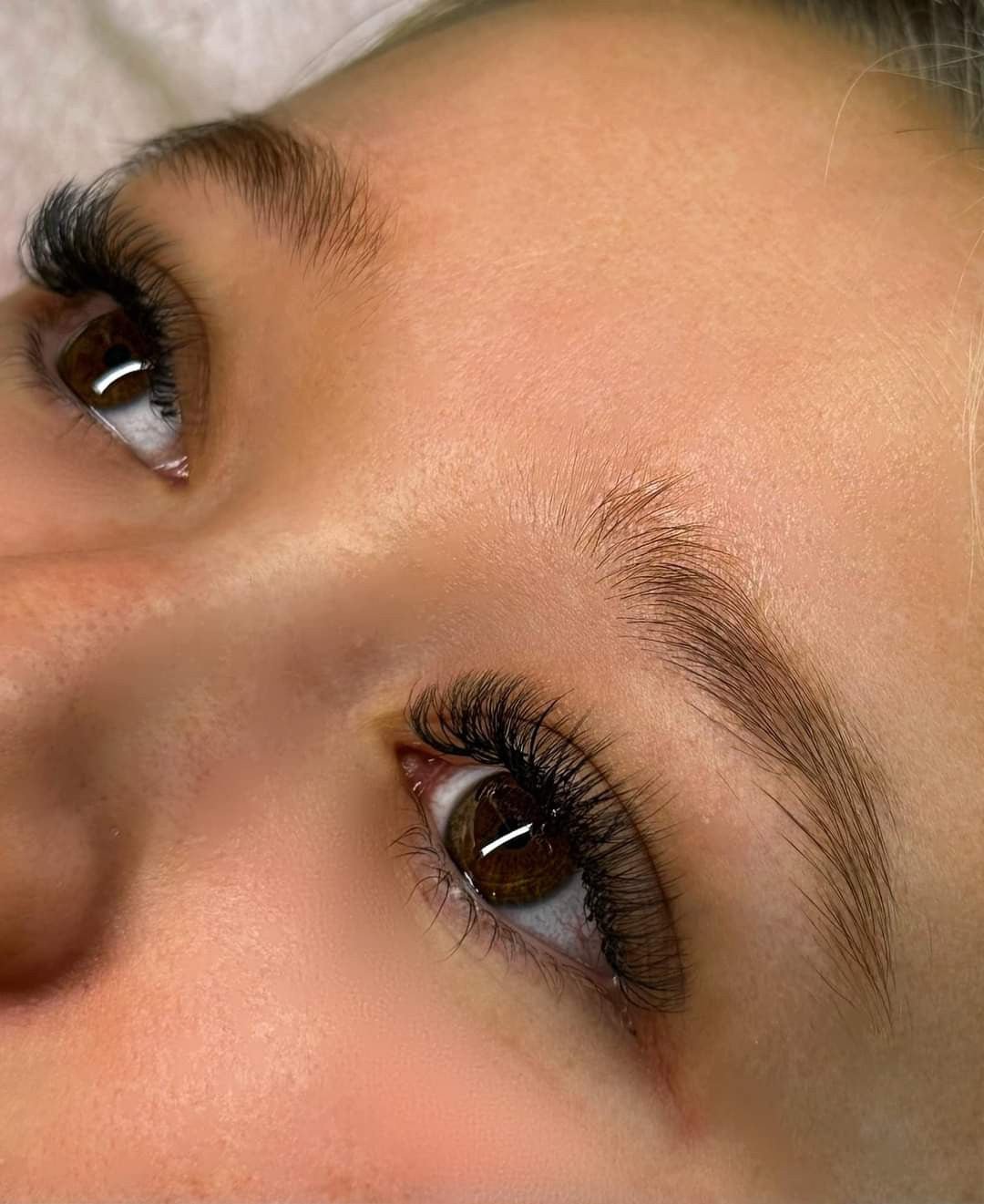 ladybuglashes lashglue lashtrays lashadhesive glueretention cloverlashes wlashes yylashes premades promades lashes