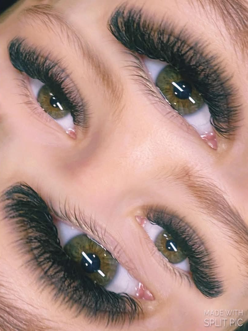 ladybuglashes lashglue lashtrays lashadhesive glueretention cloverlashes wlashes yylashes premades promades lashes