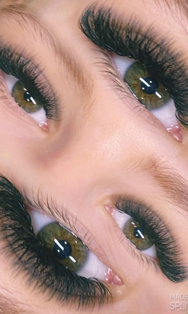 ladybuglashes lashglue lashtrays lashadhesive glueretention cloverlashes wlashes yylashes premades promades lashes