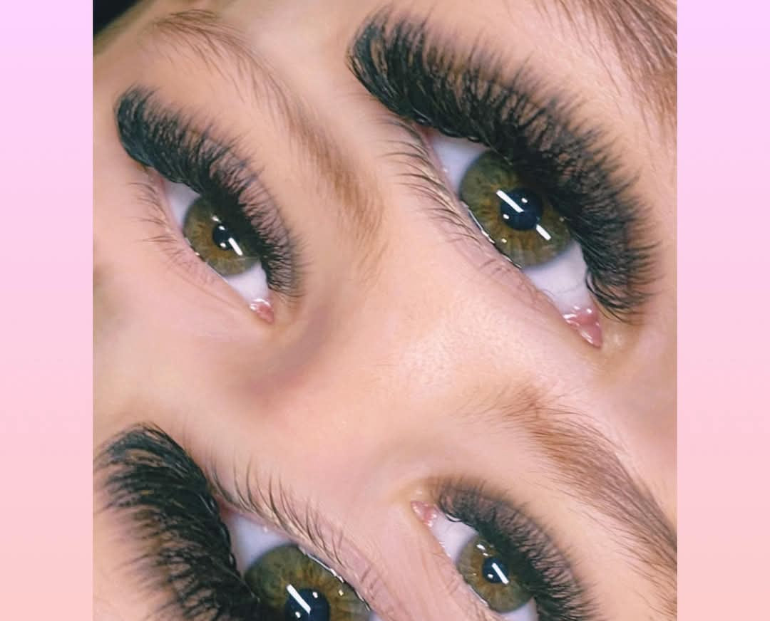 ladybuglashes lashglue lashtrays lashadhesive glueretention cloverlashes wlashes yylashes premades promades lashes