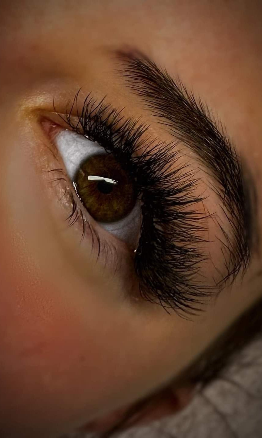 ladybuglashes lashglue lashtrays lashadhesive glueretention cloverlashes wlashes yylashes premades promades lashes