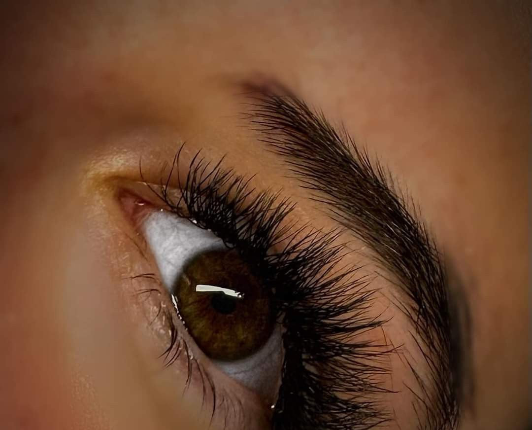 ladybuglashes lashglue lashtrays lashadhesive glueretention cloverlashes wlashes yylashes premades promades lashes