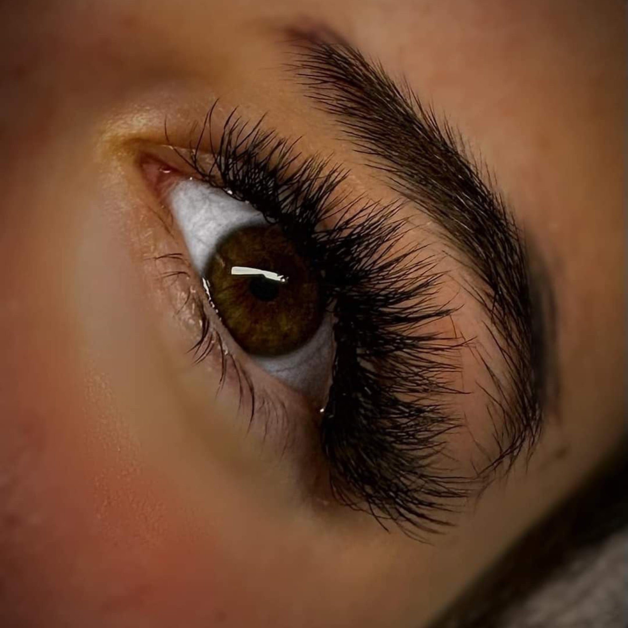 ladybuglashes lashglue lashtrays lashadhesive glueretention cloverlashes wlashes yylashes premades promades lashes