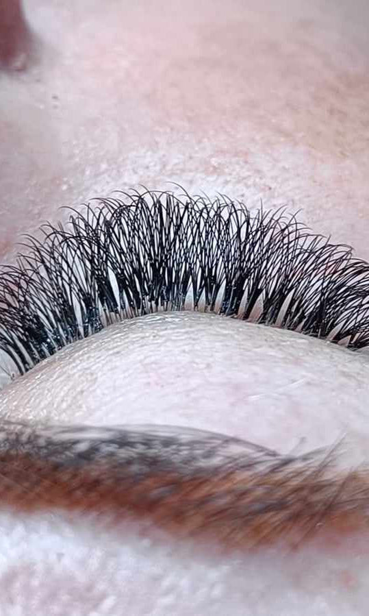 ladybuglashes lashglue lashtrays lashadhesive glueretention cloverlashes wlashes yylashes premades promades lashes