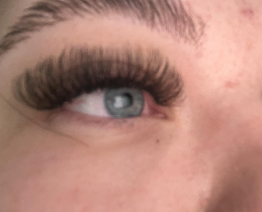 ladybuglashes lashglue lashtrays lashadhesive glueretention cloverlashes wlashes yylashes premades promades lashes