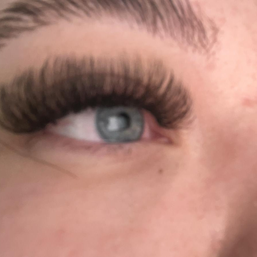 ladybuglashes lashglue lashtrays lashadhesive glueretention cloverlashes wlashes yylashes premades promades lashes