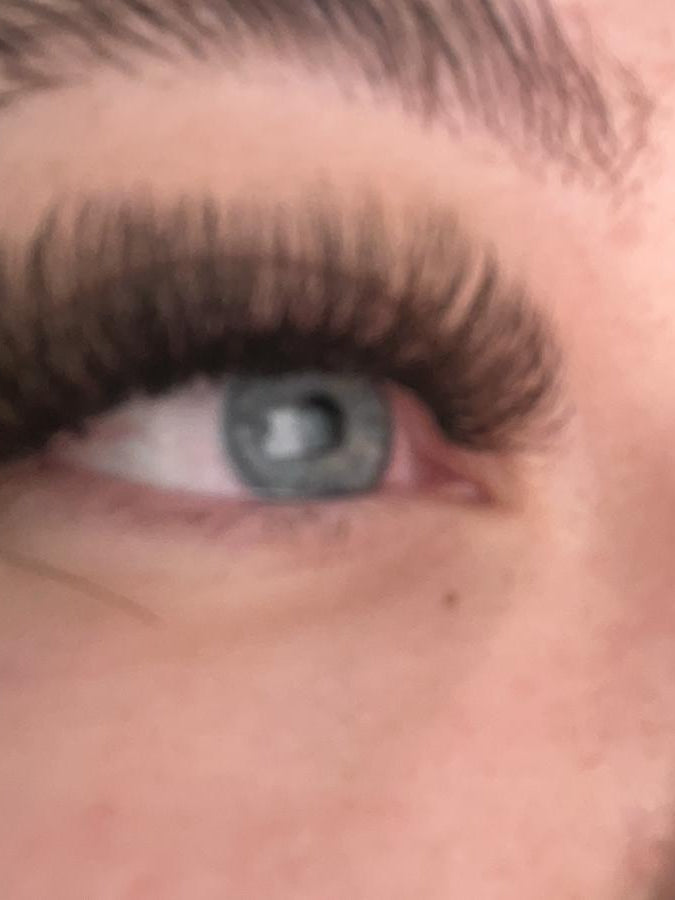 ladybuglashes lashglue lashtrays lashadhesive glueretention cloverlashes wlashes yylashes premades promades lashes