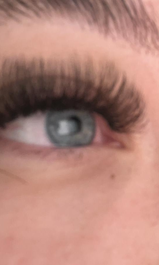 ladybuglashes lashglue lashtrays lashadhesive glueretention cloverlashes wlashes yylashes premades promades lashes