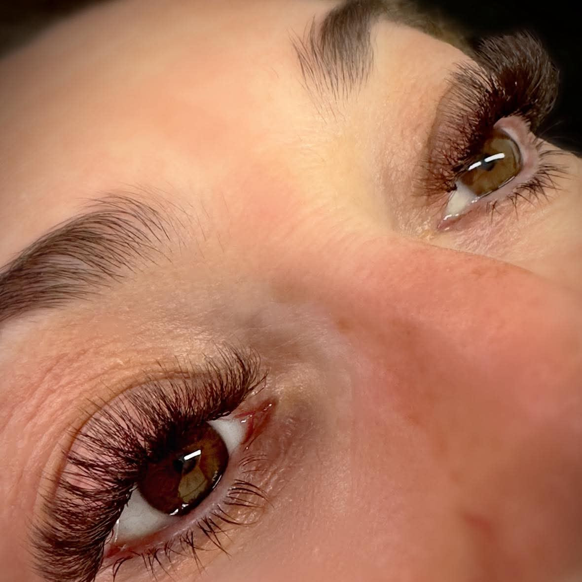 ladybuglashes lashglue lashtrays lashadhesive glueretention cloverlashes wlashes yylashes premades promades lashes