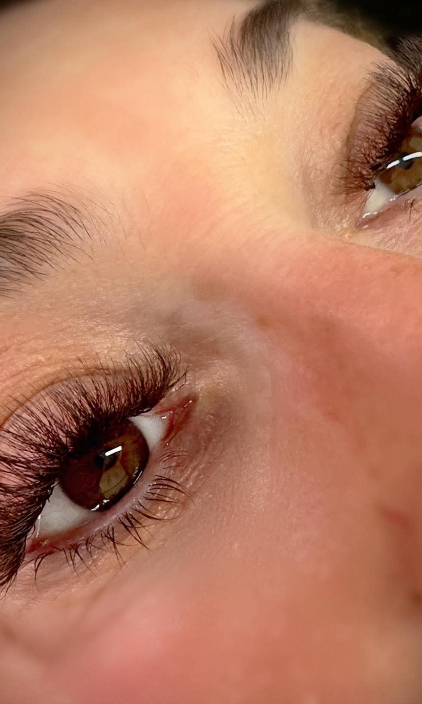 ladybuglashes lashglue lashtrays lashadhesive glueretention cloverlashes wlashes yylashes premades promades lashes