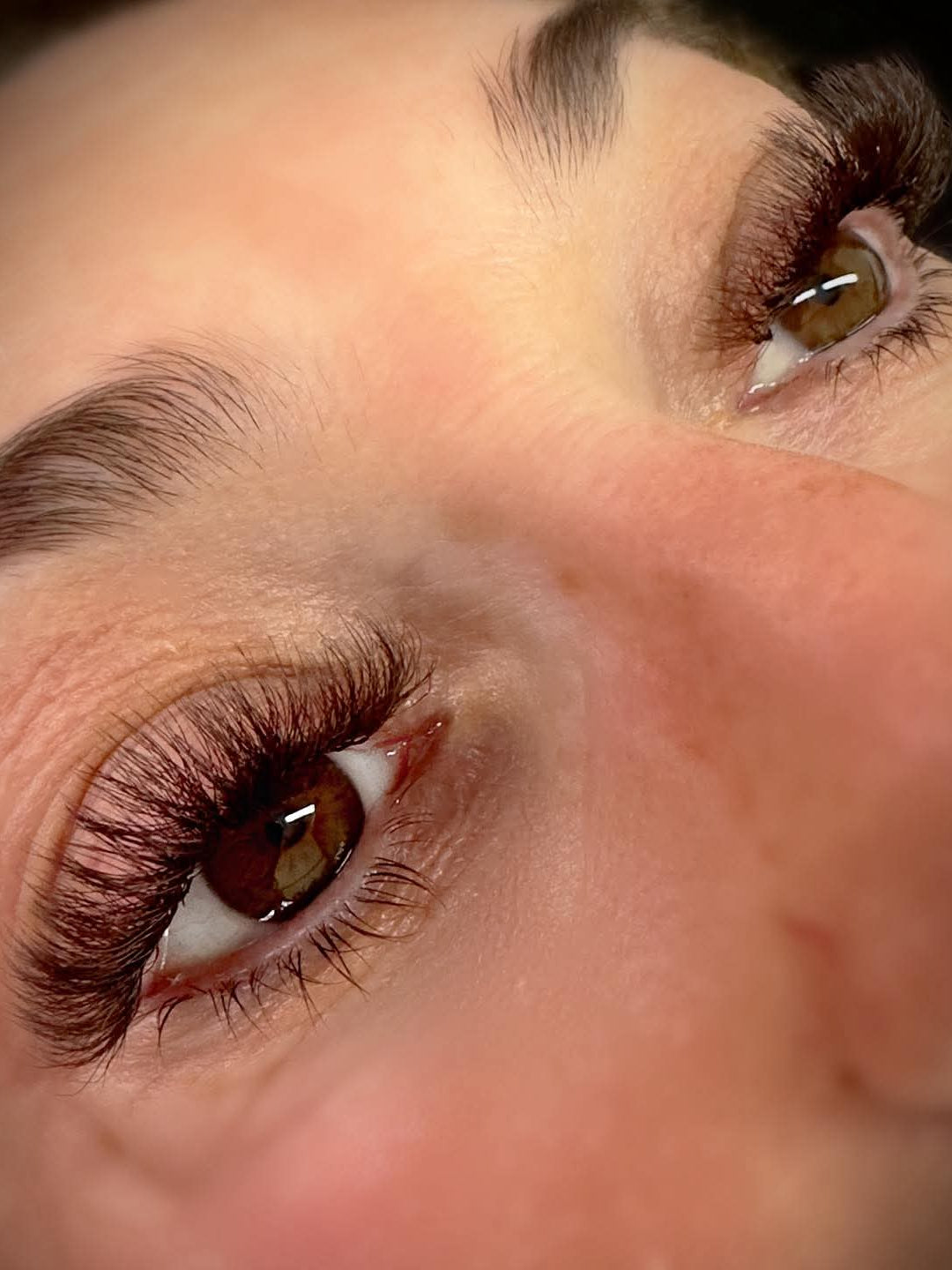 ladybuglashes lashglue lashtrays lashadhesive glueretention cloverlashes wlashes yylashes premades promades lashes