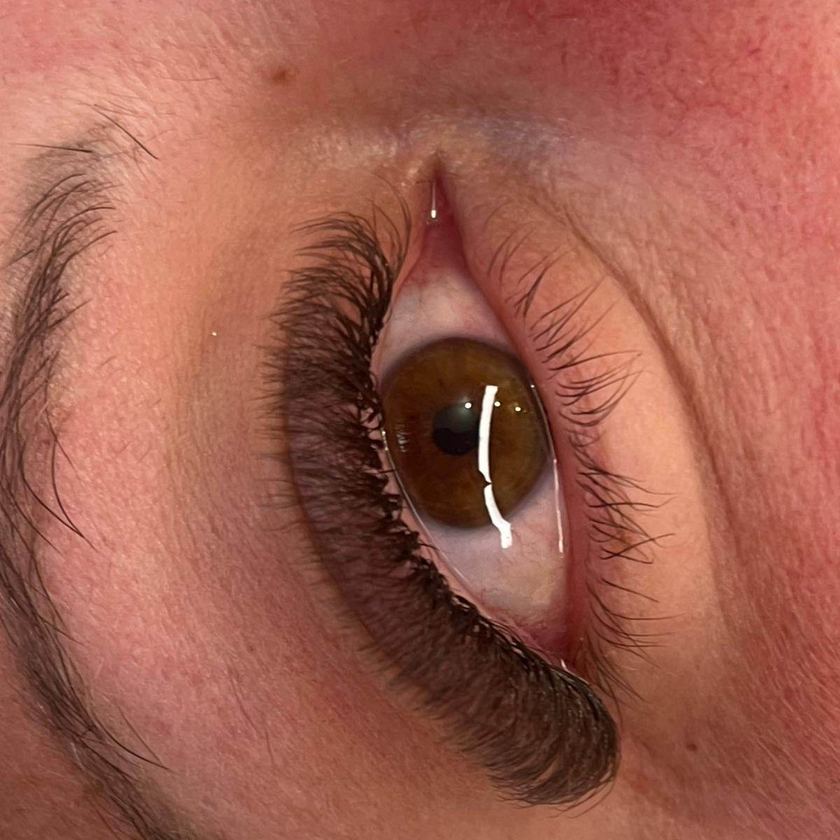 ladybuglashes lashglue lashtrays lashadhesive glueretention cloverlashes wlashes yylashes premades promades lashes