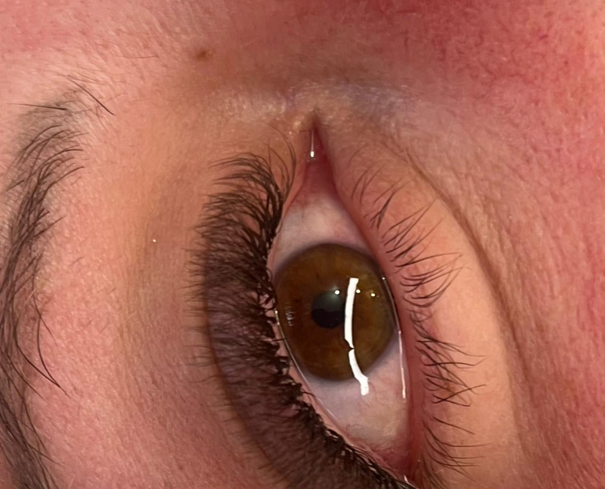 ladybuglashes lashglue lashtrays lashadhesive glueretention cloverlashes wlashes yylashes premades promades lashes