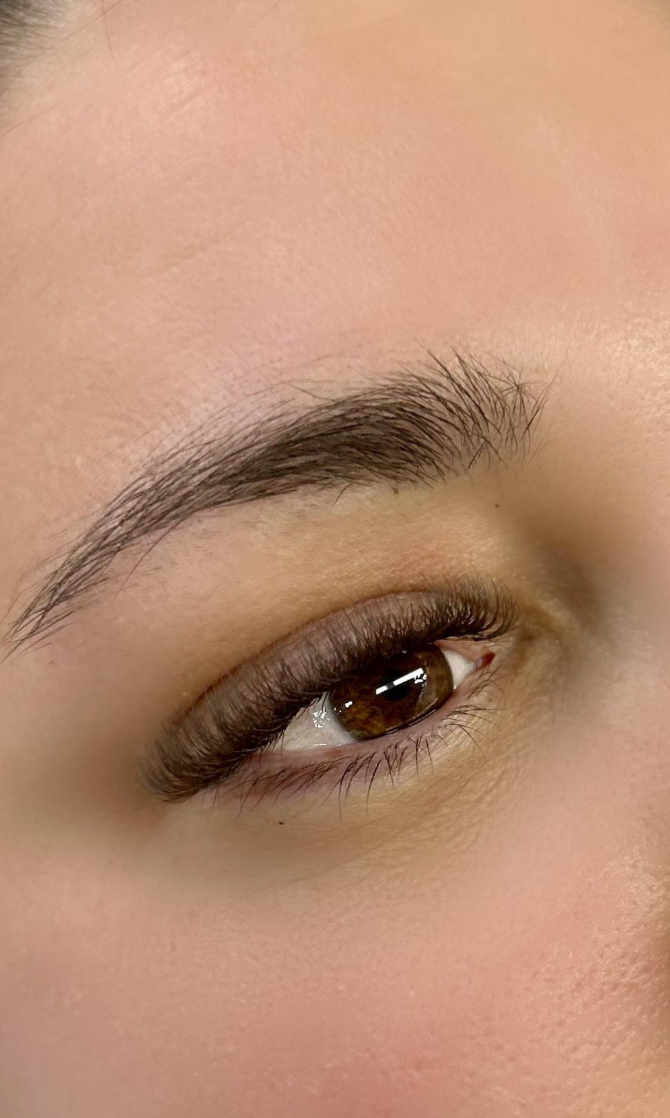 ladybuglashes lashglue lashtrays lashadhesive glueretention cloverlashes wlashes yylashes premades promades lashes