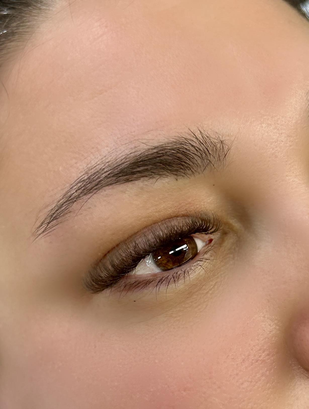 ladybuglashes lashglue lashtrays lashadhesive glueretention cloverlashes wlashes yylashes premades promades lashes