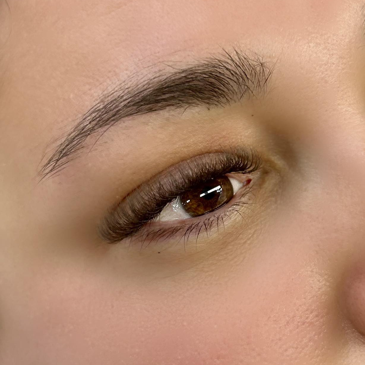 ladybuglashes lashglue lashtrays lashadhesive glueretention cloverlashes wlashes yylashes premades promades lashes