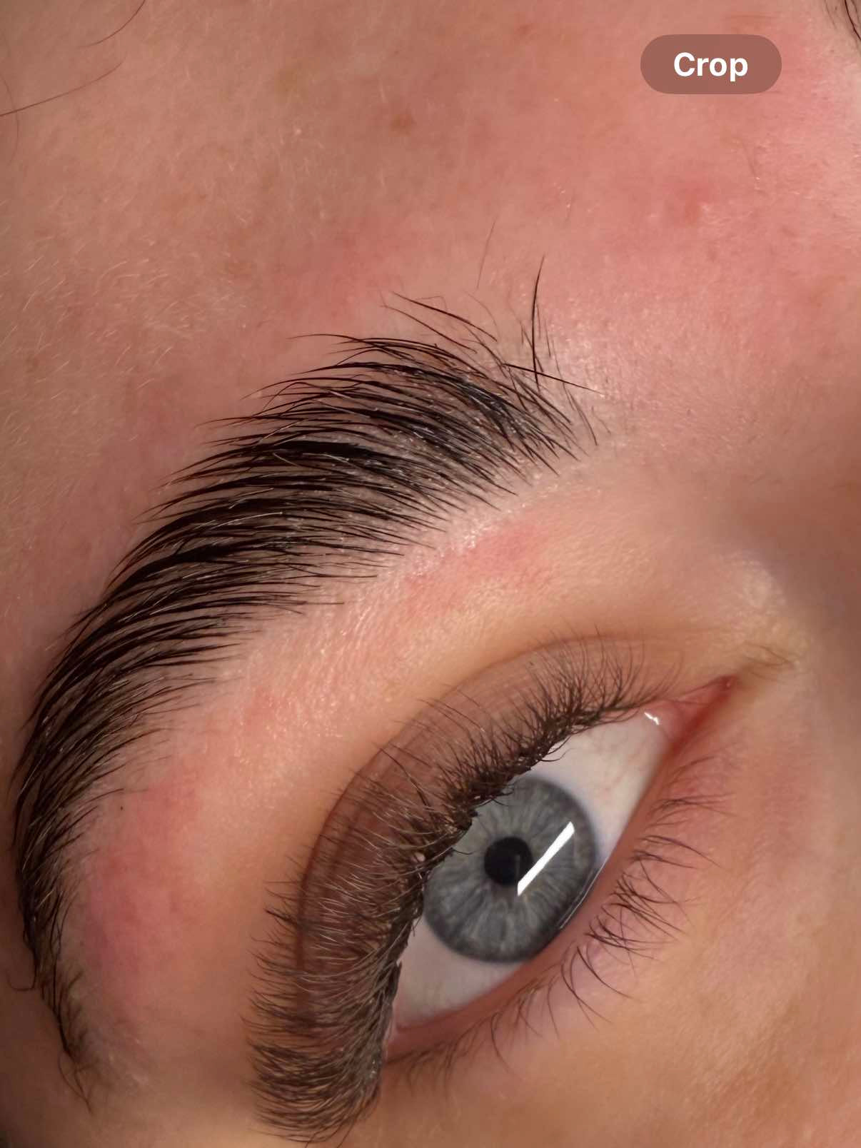 ladybuglashes lashglue lashtrays lashadhesive glueretention cloverlashes wlashes yylashes premades promades lashes