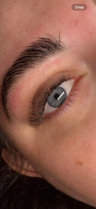 ladybuglashes lashglue lashtrays lashadhesive glueretention cloverlashes wlashes yylashes premades promades lashes