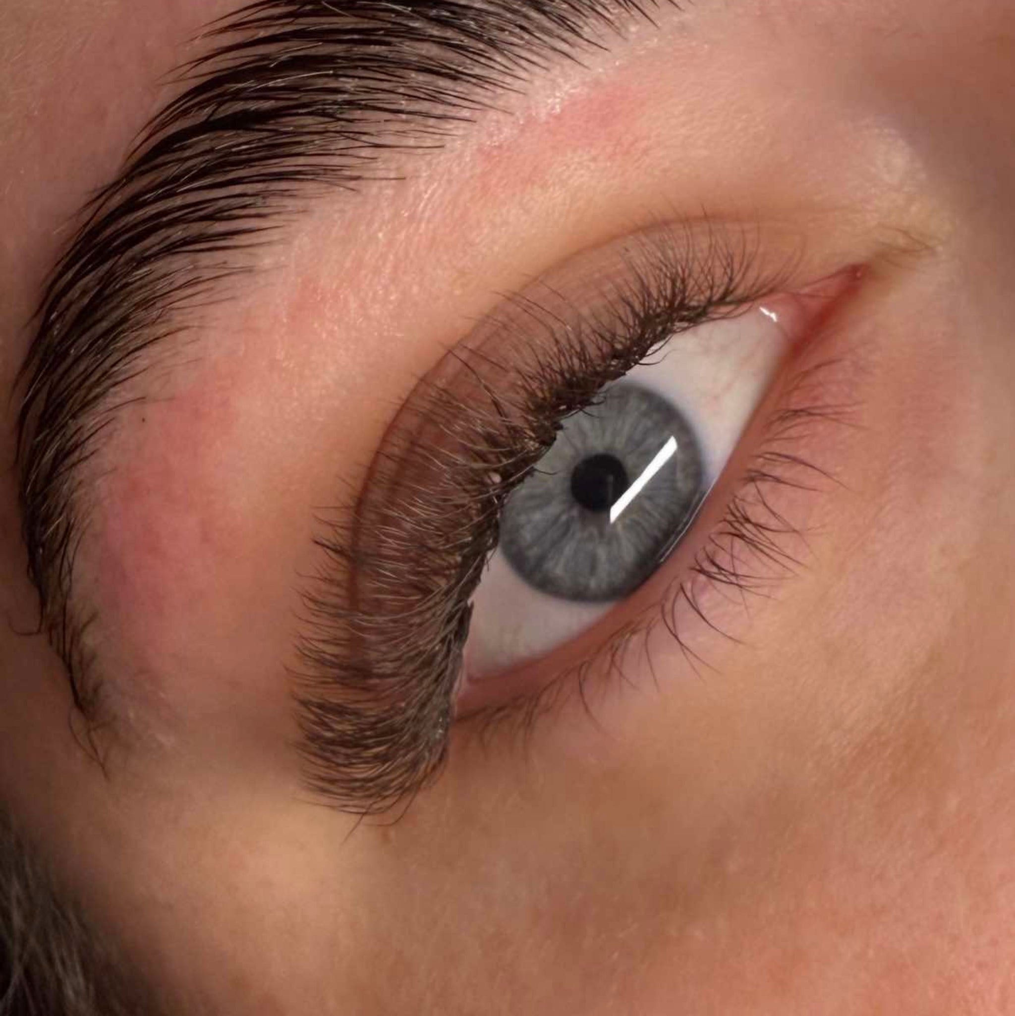 ladybuglashes lashglue lashtrays lashadhesive glueretention cloverlashes wlashes yylashes premades promades lashes