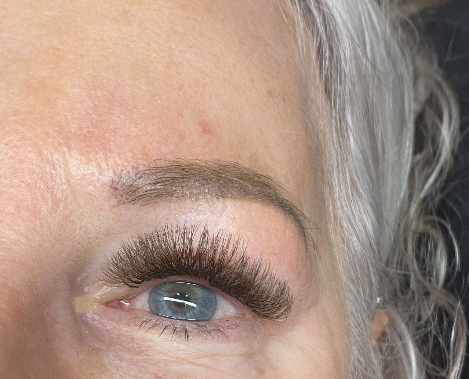 ladybuglashes lashglue lashtrays lashadhesive glueretention cloverlashes wlashes yylashes premades promades lashes