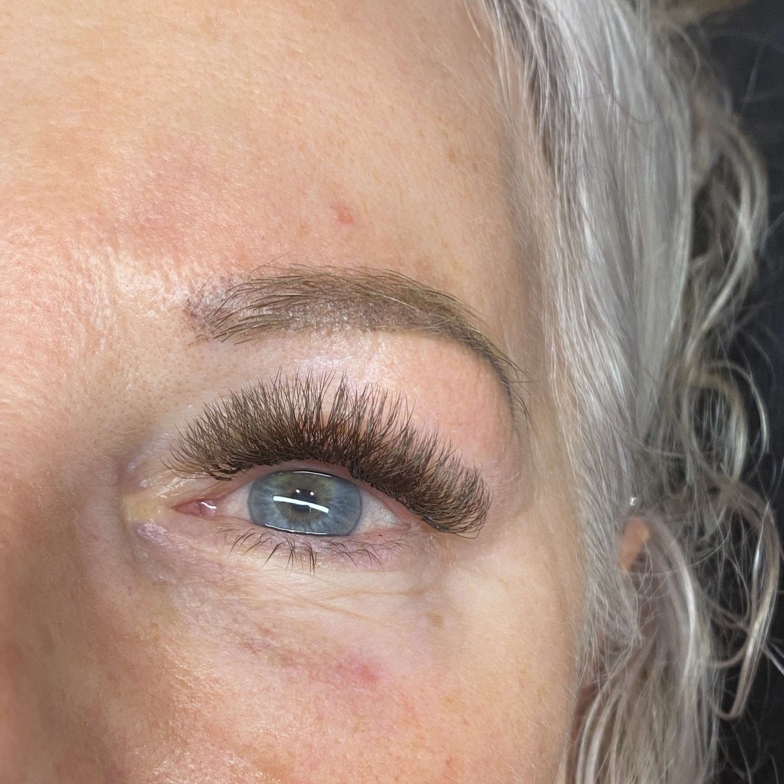 ladybuglashes lashglue lashtrays lashadhesive glueretention cloverlashes wlashes yylashes premades promades lashes