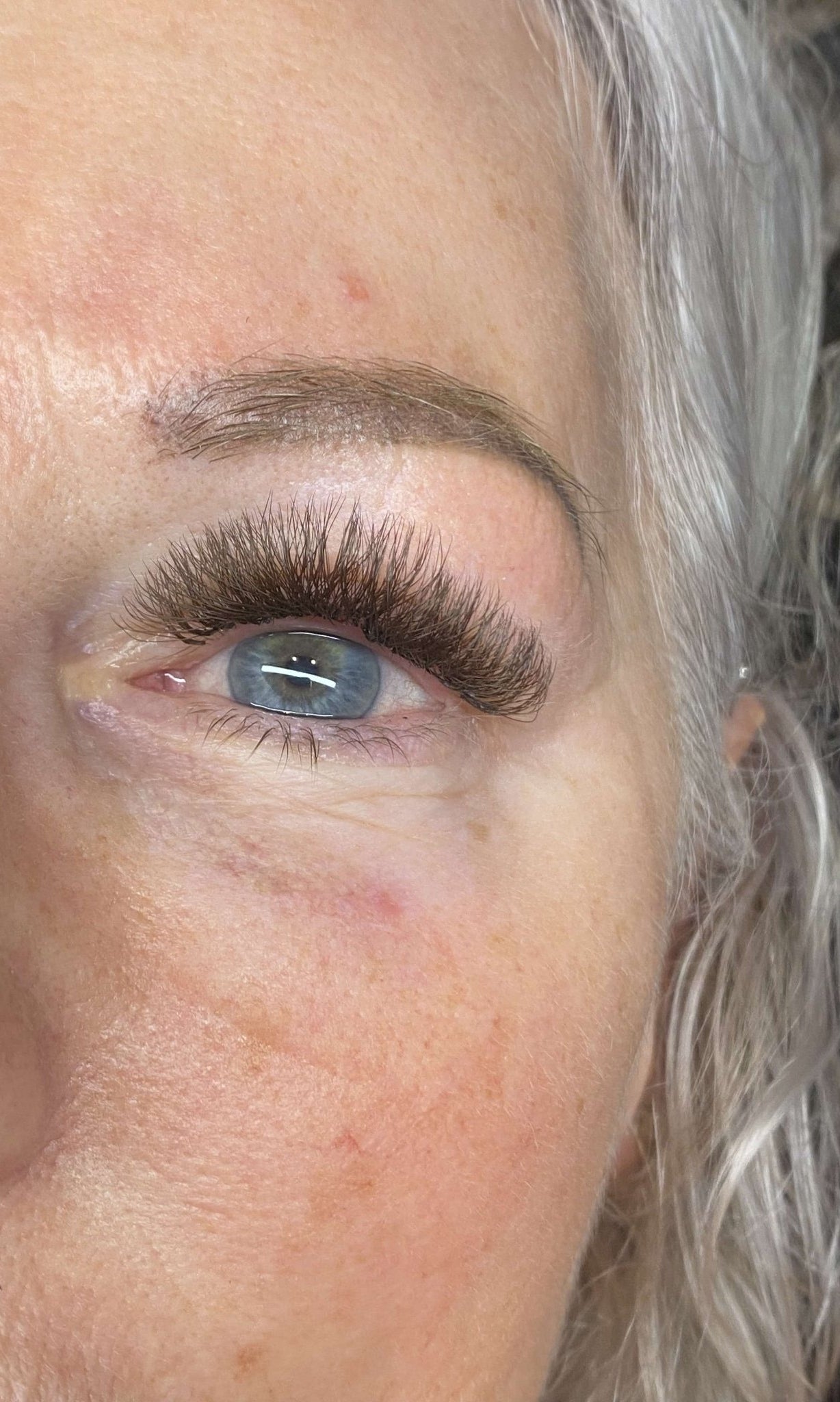 ladybuglashes lashglue lashtrays lashadhesive glueretention cloverlashes wlashes yylashes premades promades lashes