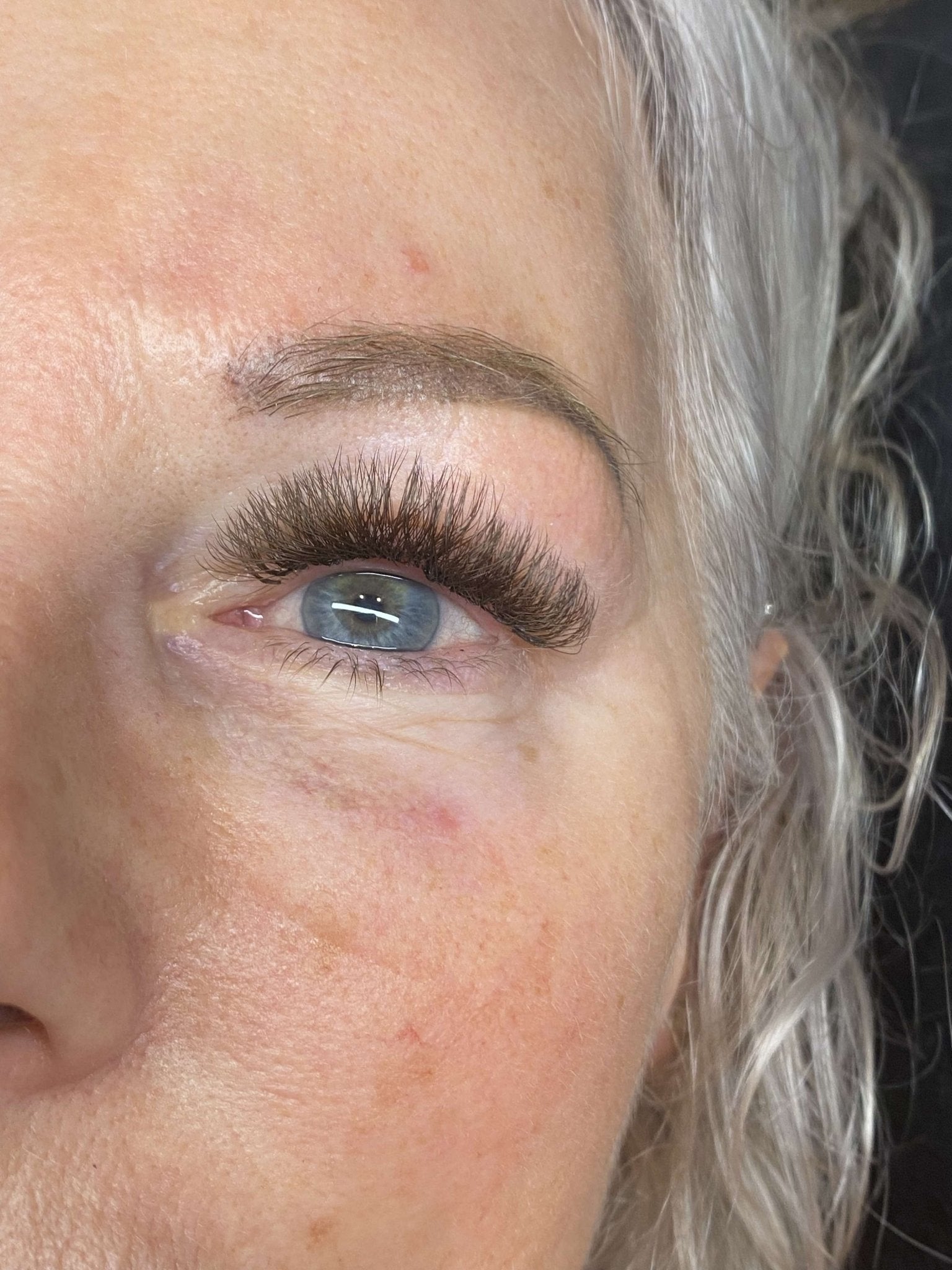 ladybuglashes lashglue lashtrays lashadhesive glueretention cloverlashes wlashes yylashes premades promades lashes