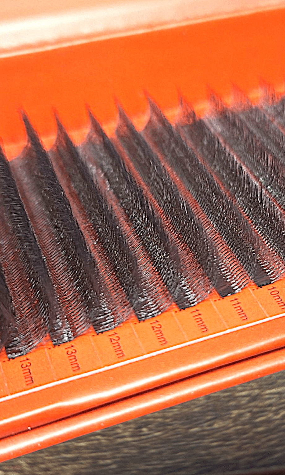 ladybuglashes lashglue lashtrays lashadhesive glueretention cloverlashes wlashes yylashes premades promades lashes