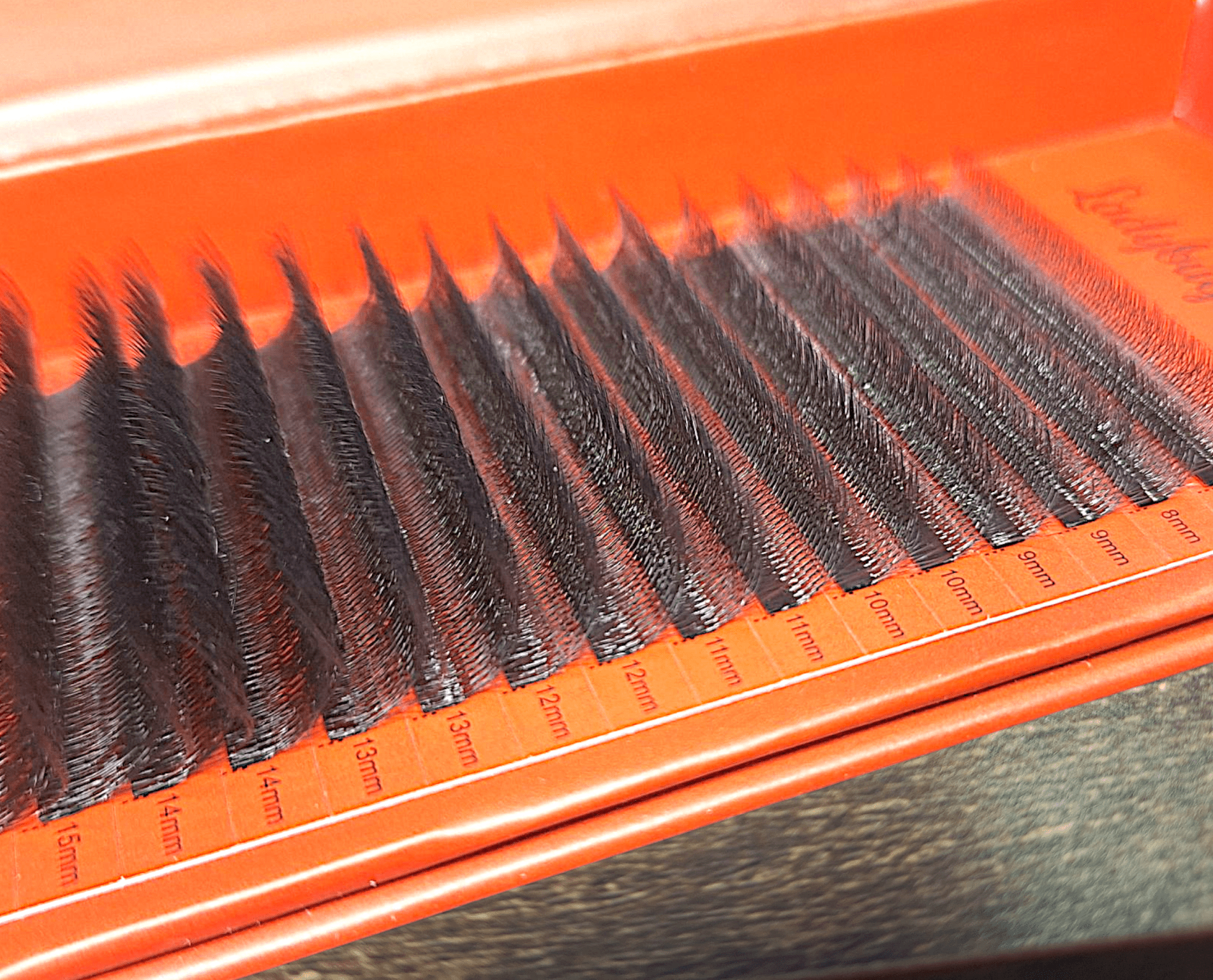 ladybuglashes lashglue lashtrays lashadhesive glueretention cloverlashes wlashes yylashes premades promades lashes