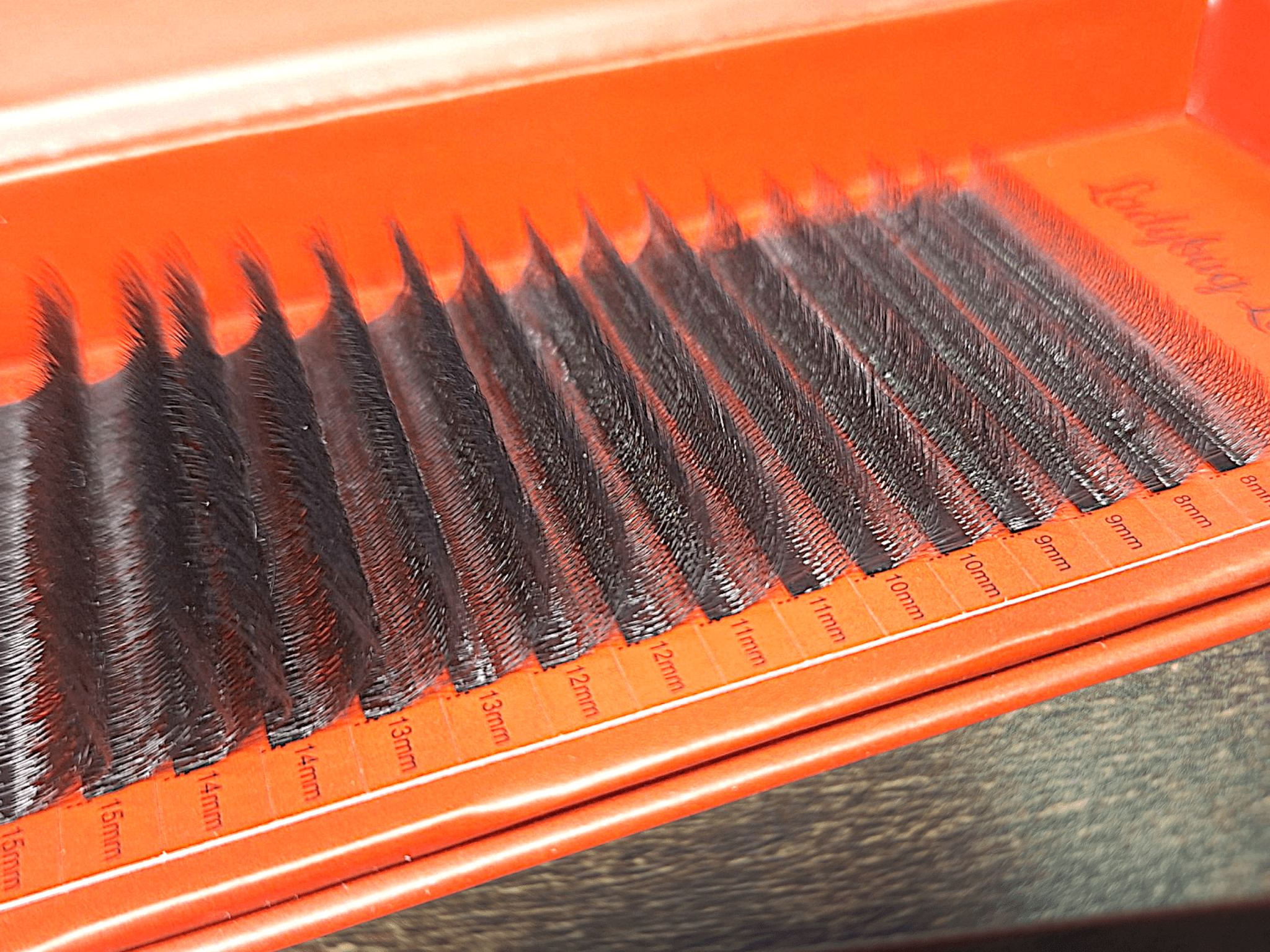 ladybuglashes lashglue lashtrays lashadhesive glueretention cloverlashes wlashes yylashes premades promades lashes