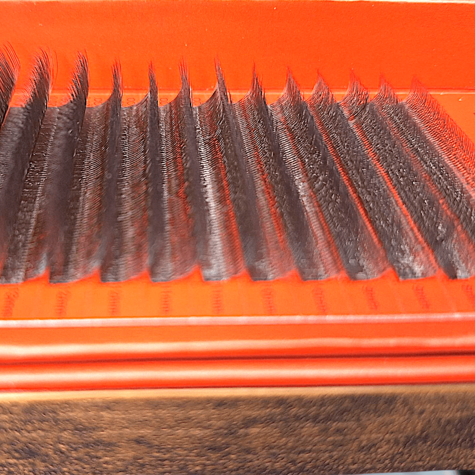 ladybuglashes lashglue lashtrays lashadhesive glueretention cloverlashes wlashes yylashes premades promades lashes