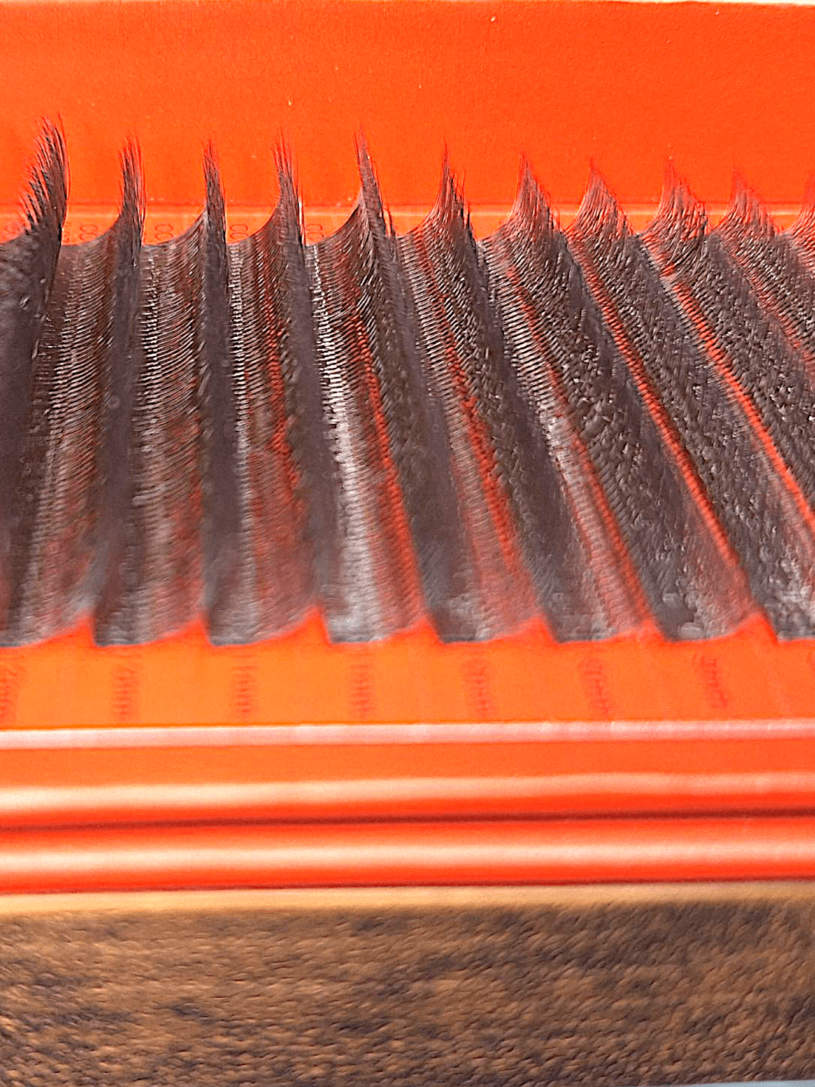 ladybuglashes lashglue lashtrays lashadhesive glueretention cloverlashes wlashes yylashes premades promades lashes