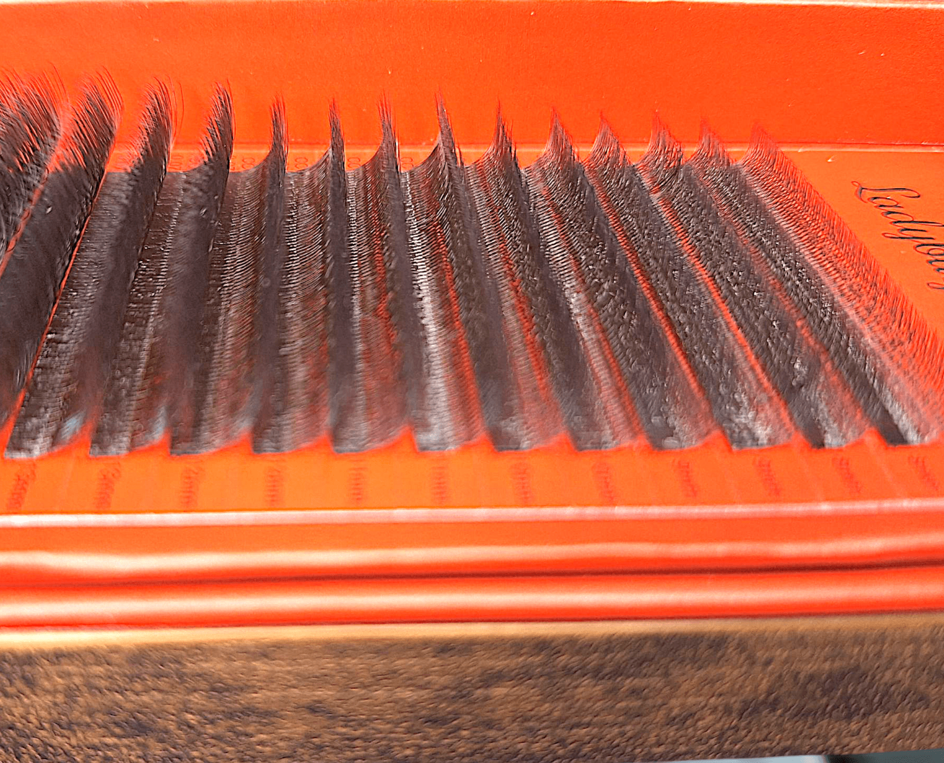 ladybuglashes lashglue lashtrays lashadhesive glueretention cloverlashes wlashes yylashes premades promades lashes