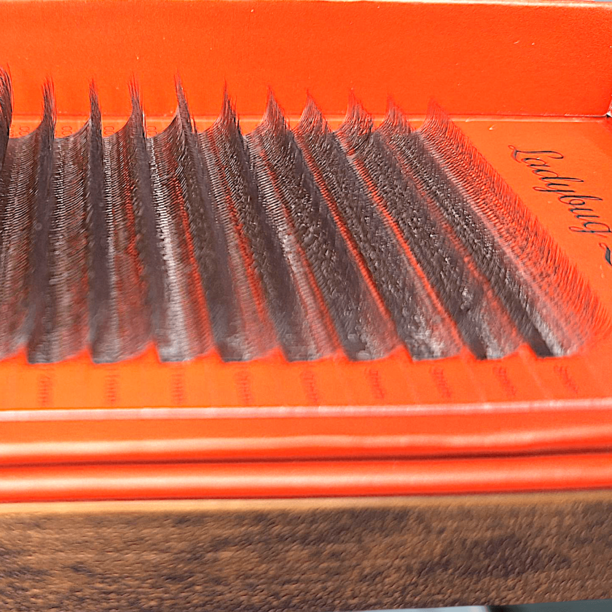 ladybuglashes lashglue lashtrays lashadhesive glueretention cloverlashes wlashes yylashes premades promades lashes