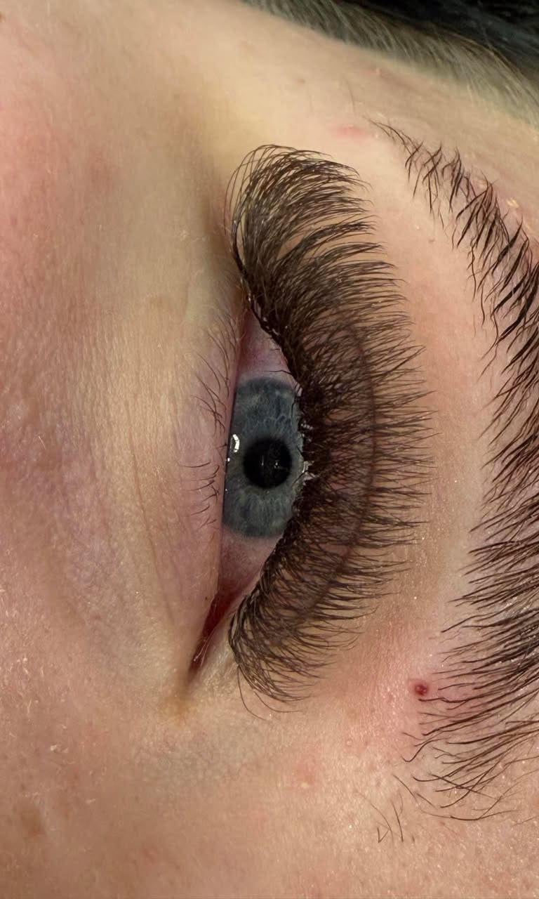 ladybuglashes lashglue lashtrays lashadhesive glueretention cloverlashes wlashes yylashes premades promades lashes