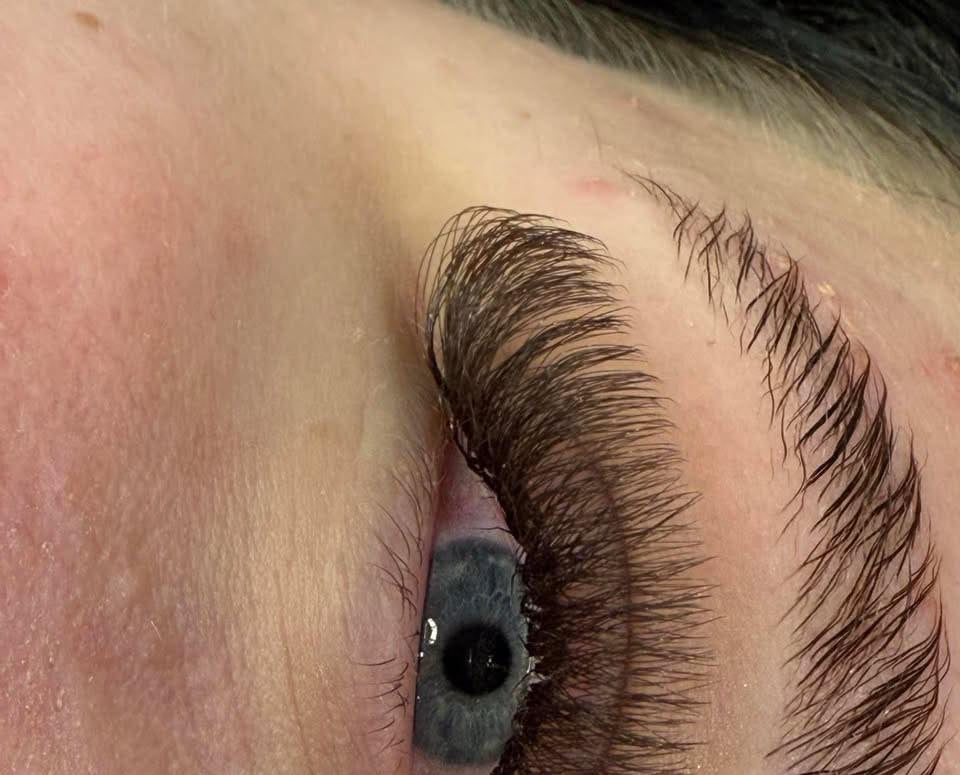 ladybuglashes lashglue lashtrays lashadhesive glueretention cloverlashes wlashes yylashes premades promades lashes