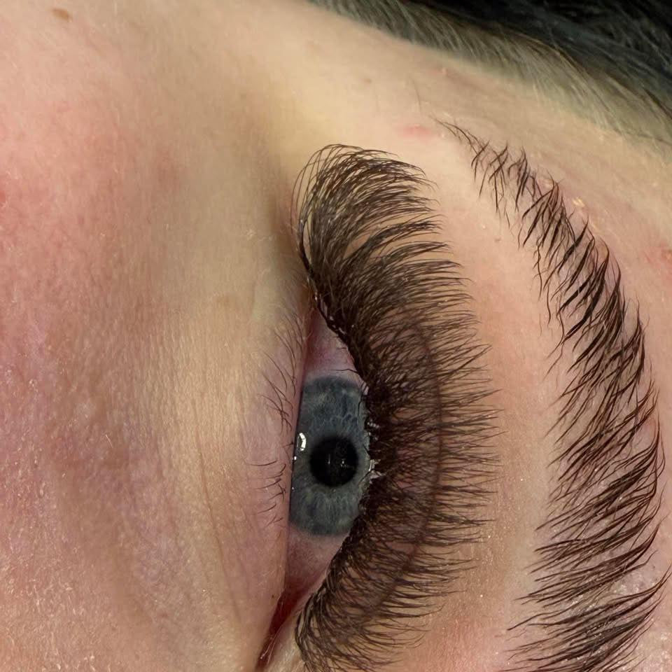 ladybuglashes lashglue lashtrays lashadhesive glueretention cloverlashes wlashes yylashes premades promades lashes