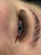 ladybuglashes lashglue lashtrays lashadhesive glueretention cloverlashes wlashes yylashes premades promades lashes