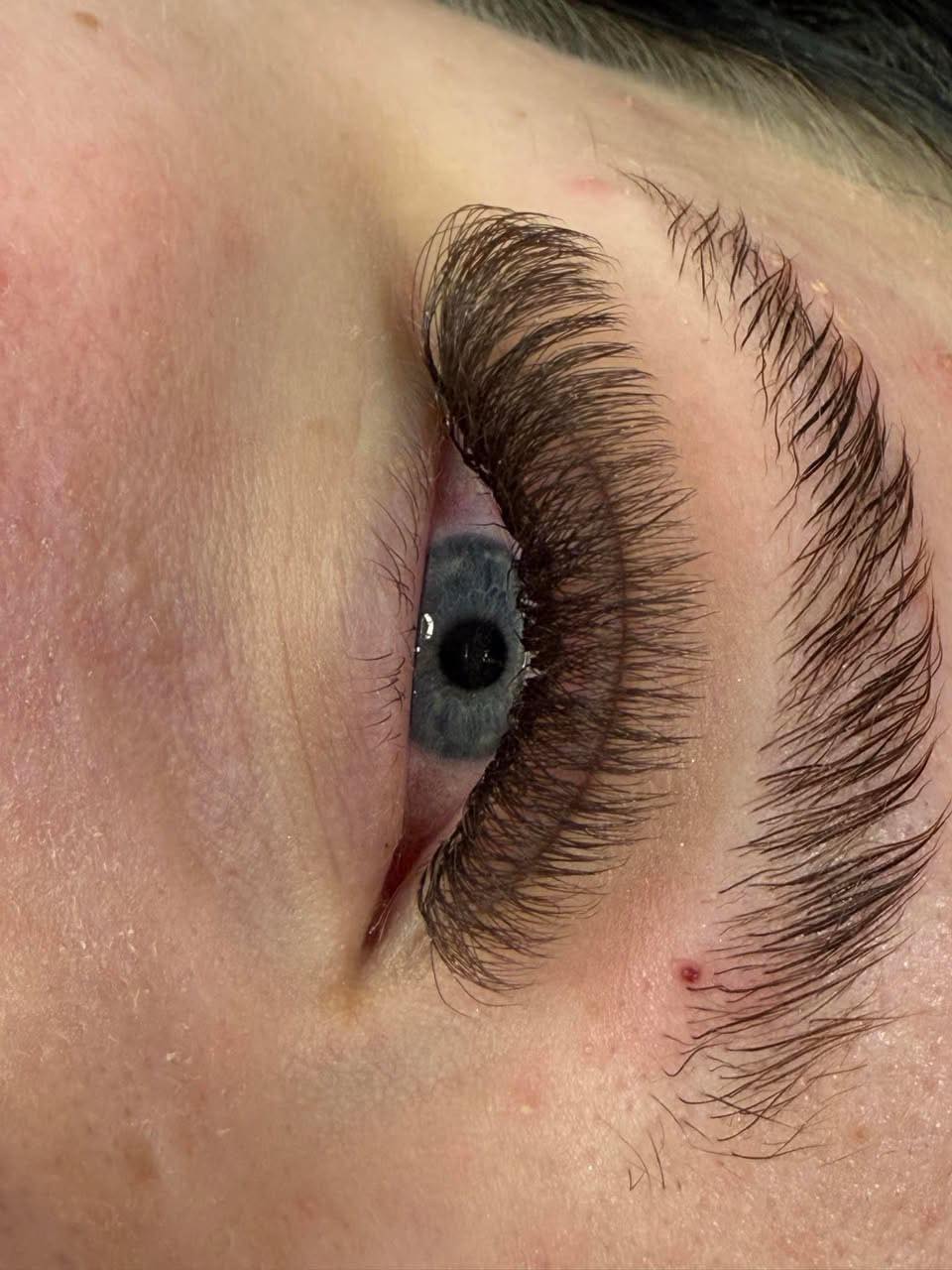 ladybuglashes lashglue lashtrays lashadhesive glueretention cloverlashes wlashes yylashes premades promades lashes