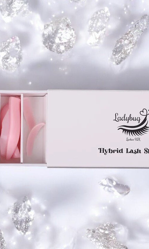 ladybuglashes lashglue lashtrays lashadhesive glueretention cloverlashes wlashes yylashes premades promades lashes