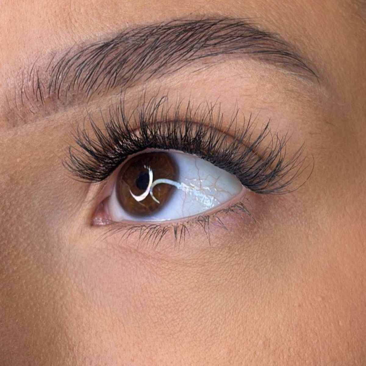 Lash Ribbons Bre Pre-Glued Lash Clusters – product image 3