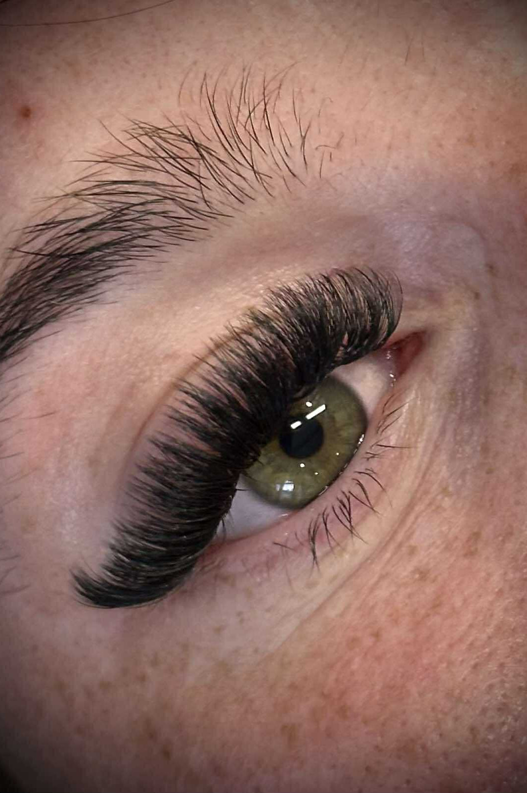 ladybuglashes lashglue lashtrays lashadhesive glueretention cloverlashes wlashes yylashes premades promades lashes