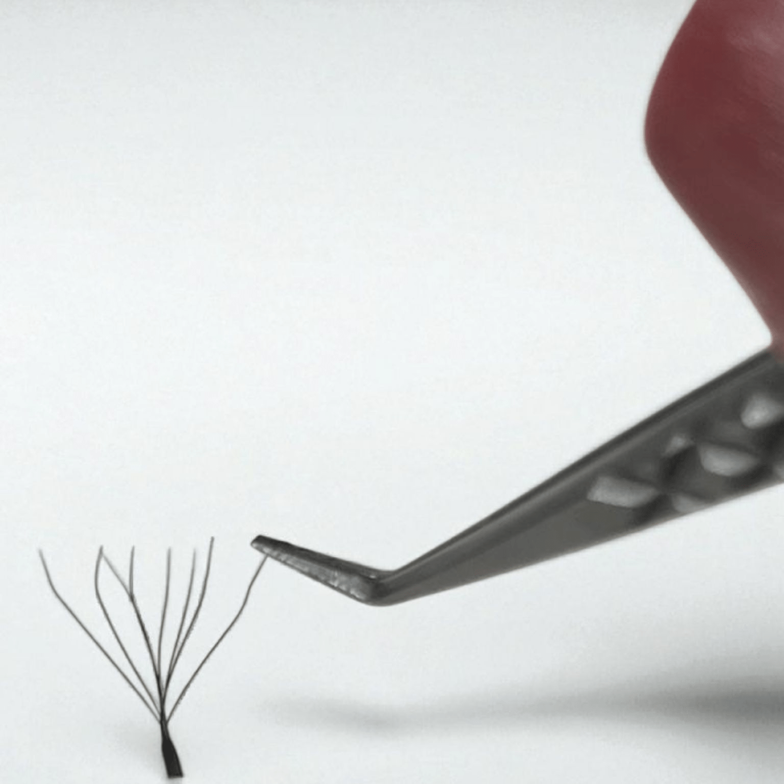 8D Clover Lashes 16 row mixed tray