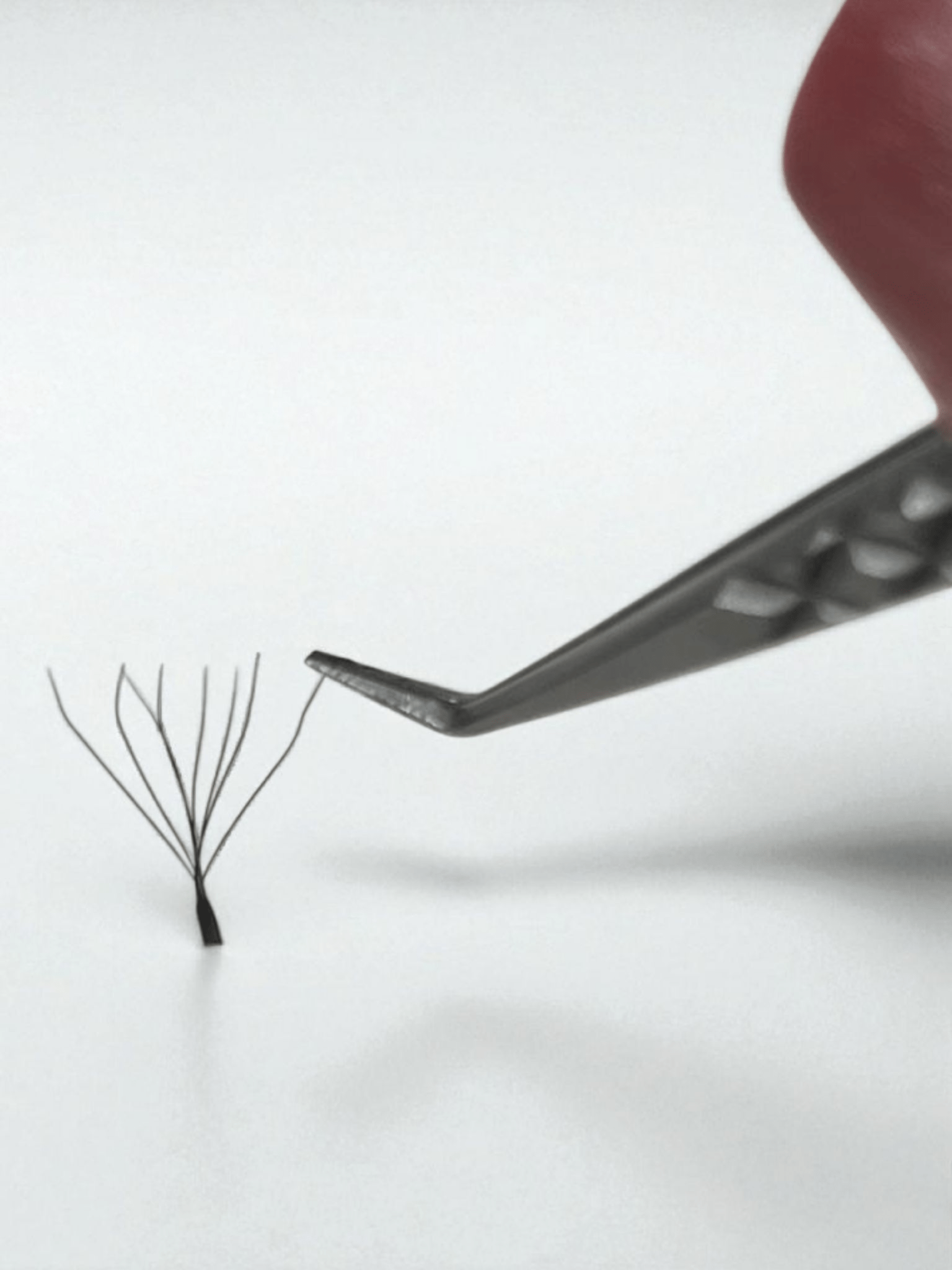 8D Clover Lashes 16 row mixed tray