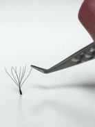 8D Clover Lashes 16 row mixed tray