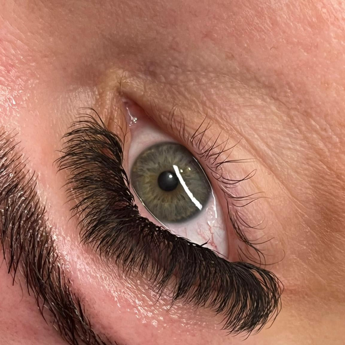 8D Clover Lashes 16 row mixed tray