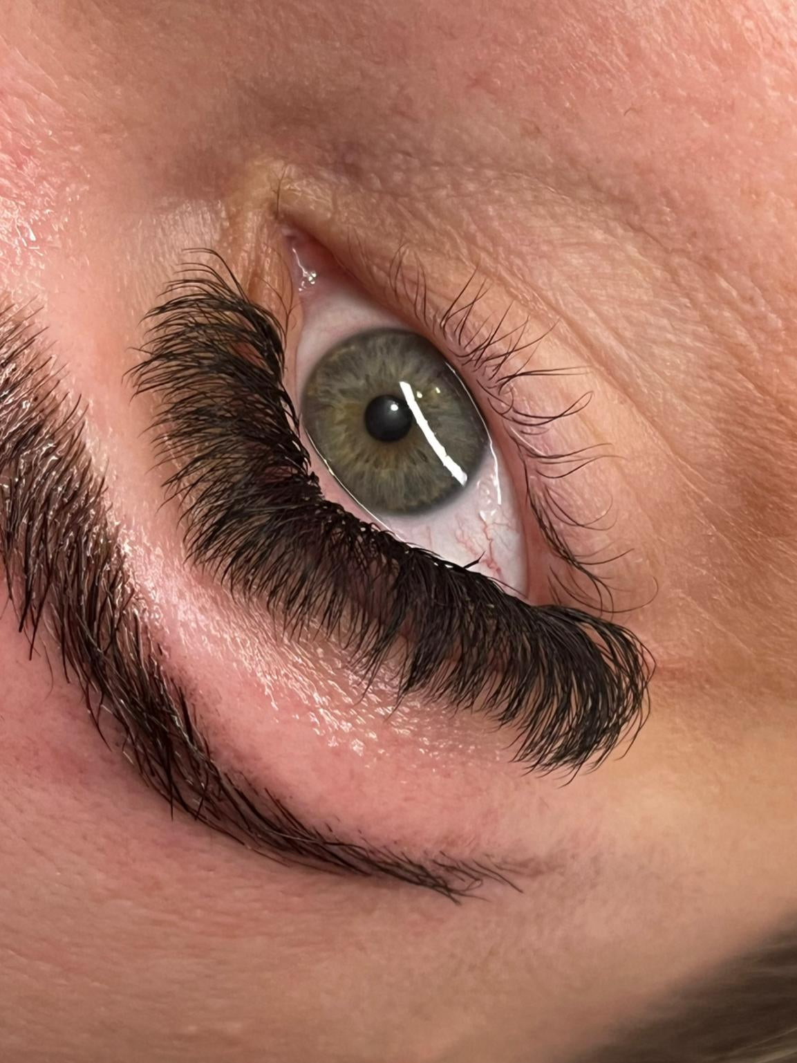 8D Clover Lashes 16 row mixed tray