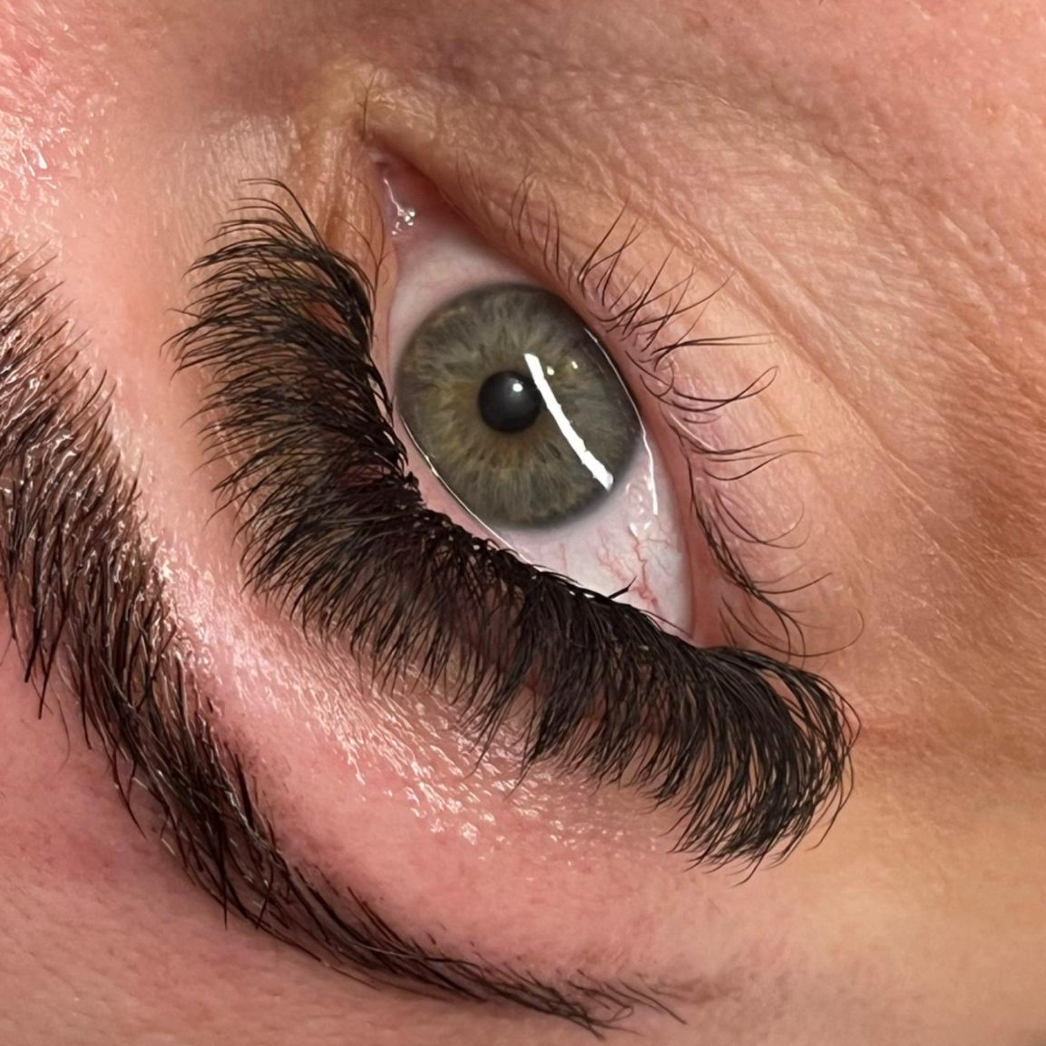 8D Clover Lashes 16 row mixed tray