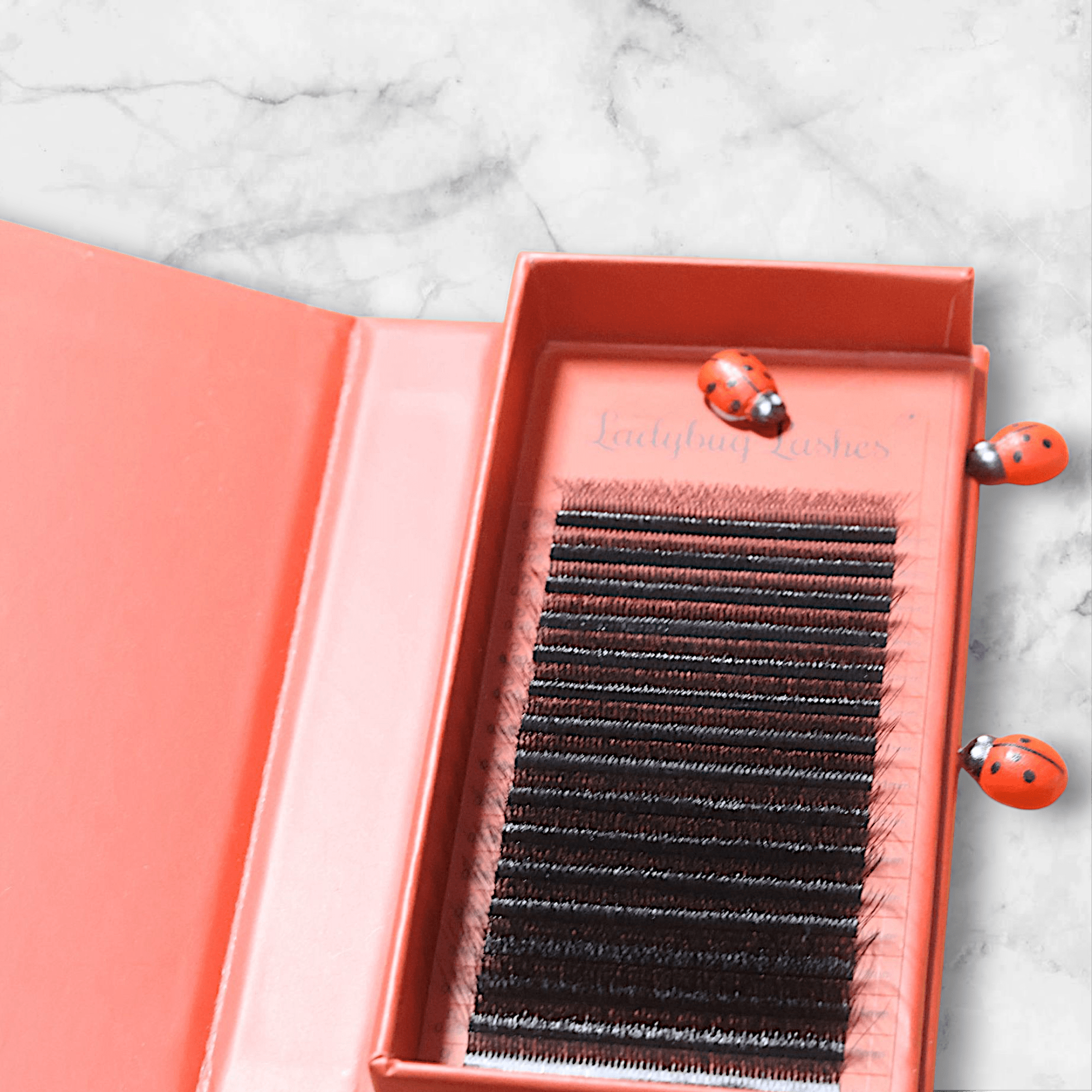 8D Clover Lashes 16 row mixed tray