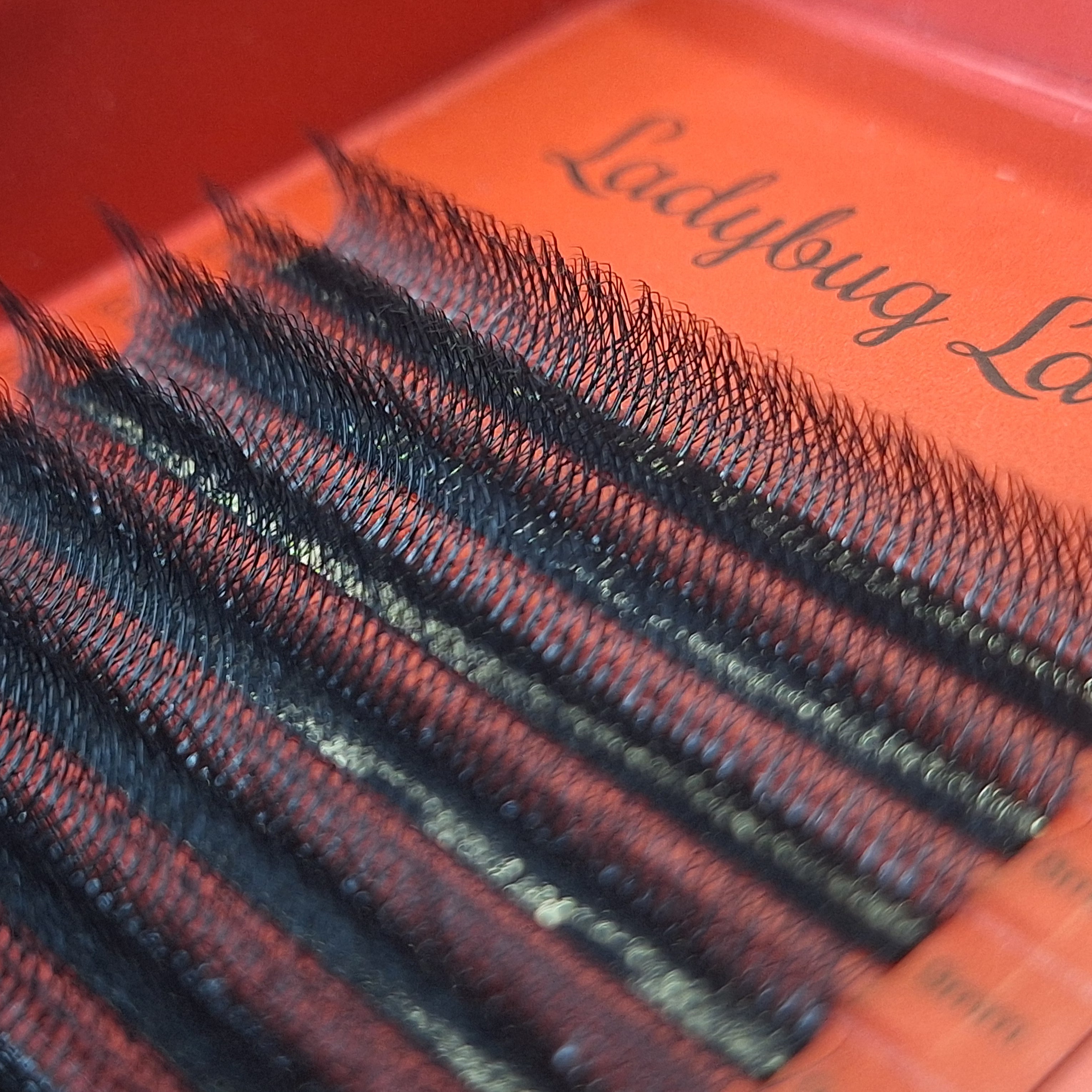 8D Clover Lashes 16 row mixed tray